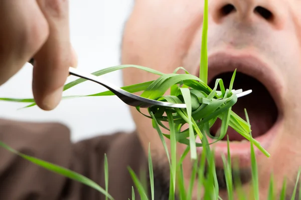 Uomo con forchetta che mangia erba di grano, isolato su bianco . — Foto Stock