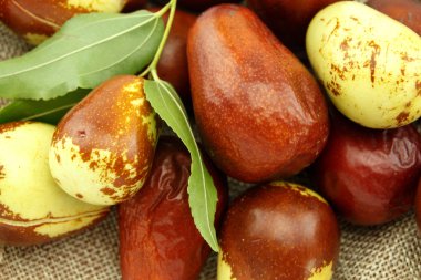 Hünnap meyve yaprakları closeup ile