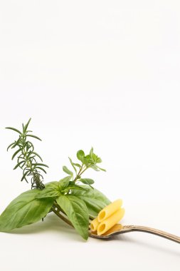 Beyaz arka plan üzerinde izole çatal, fesleğen, biberiye, kekik yaprak