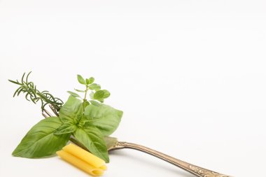 Beyaz arka plan üzerinde izole çatal, fesleğen, biberiye, kekik yaprak