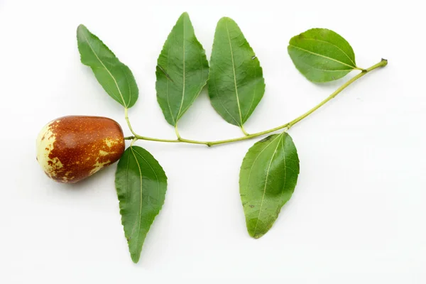Jujube fruta primer plano en rama con hojas verdes, aislado sobre fondo blanco —  Fotos de Stock