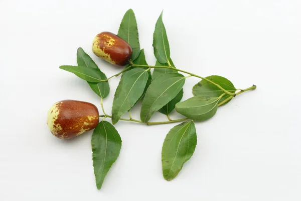 Jujube frukt närbild på gren med blad, isolerad på vit bakgrund — Stockfoto