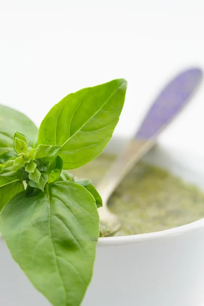 Molho de pesto e folhas de manjericão, isolados sobre fundo branco — Fotografia de Stock