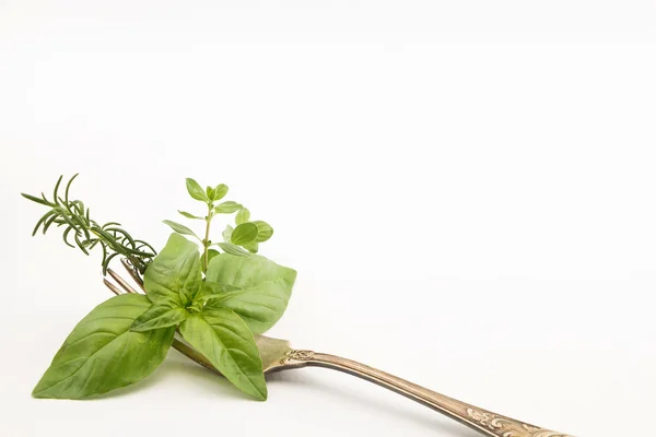 Basilico, rosmarino, foglie di origano su forchetta, isolate su fondo bianco — Foto Stock