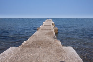 Beton rıhtım ile deniz manzarası ve bazı martılar