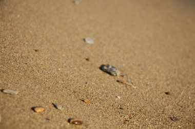 Görüntü, arka plan ile ıslak kum portre.