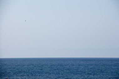 Mavi gökyüzü ve denizin ufuk arka plan