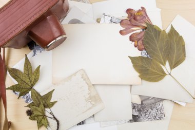 Ahşap yüzey üzerinde kuru bitkiler ile fotoğraf yığını üzerinde eski fotoğraf makinesi.