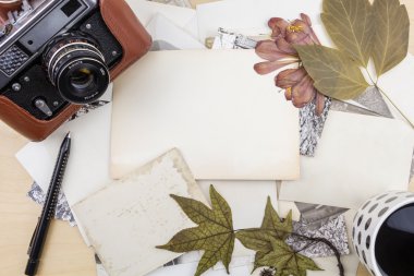 Ahşap yüzey üzerinde kuru bitkiler ile fotoğraf yığını üzerinde eski fotoğraf makinesi.