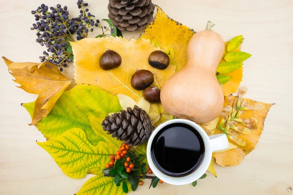 노란색의 부케와 한 잔의 커피, 녹색 단풍, 열매와 씨앗. — 스톡 사진