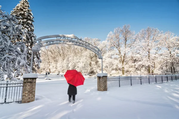 Cena de inverno nevado — Fotografia de Stock