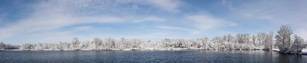 Verschneiter Wintersee und Baumpanorama — Stockfoto