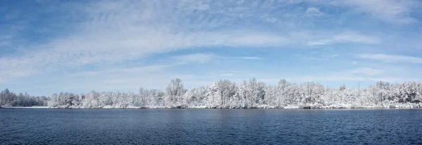 Snowy Winter Lake en bomen — Stockfoto