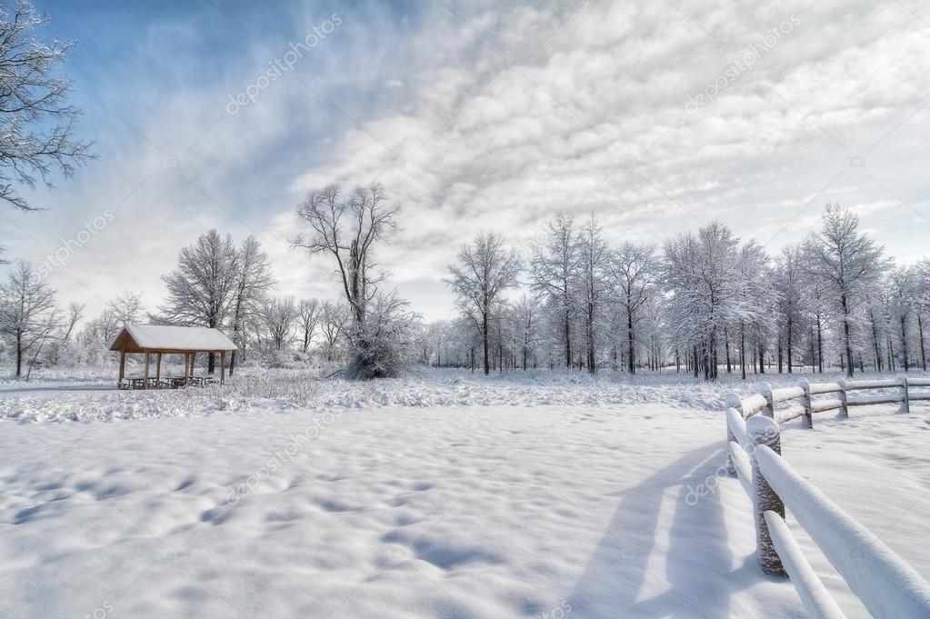 Snowy Winter Scene Stock Photo Image By C Mshake 107387122