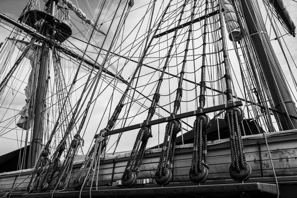 키 큰 배 깅 — 스톡 사진