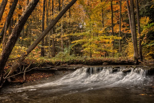 Cascada en otoño —  Fotos de Stock