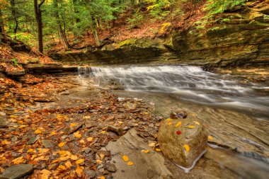 Waterfall In Autumn clipart