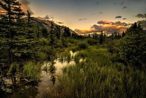 Puesta de sol de montaña — Foto de Stock