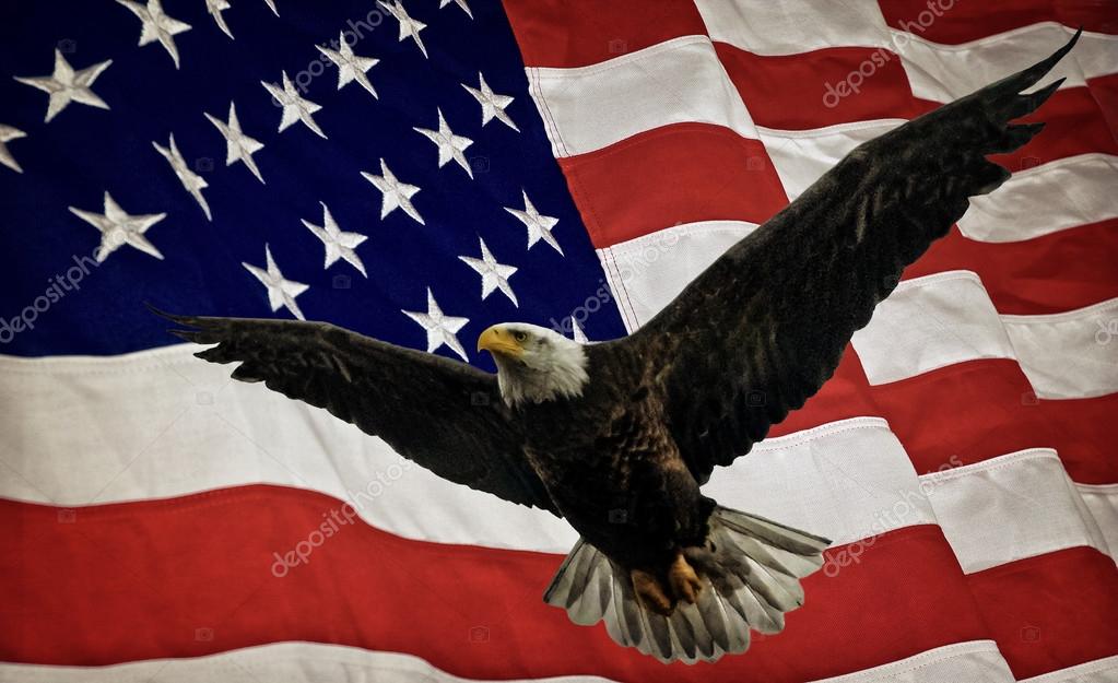 Bald Eagle and Flag — Stock Photo © Mshake 57625569
