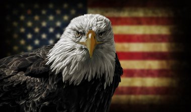 Amerikan kel kartal Grunge bayrağı