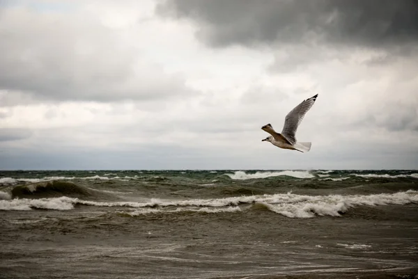 ミシガン湖の嵐 — ストック写真