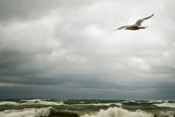 Stürmischer michigan-see — Stockfoto