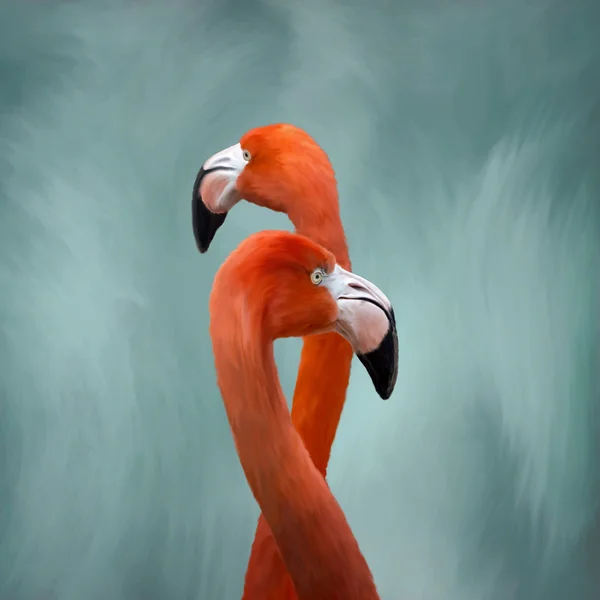 Flamingi malarstwo — Zdjęcie stockowe