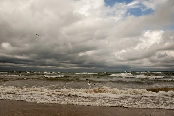 Stormachtige lake michigan — Stockfoto