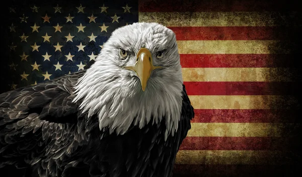 Amerikanischer Weißkopfseeadler auf Grunge-Flagge — Stockfoto