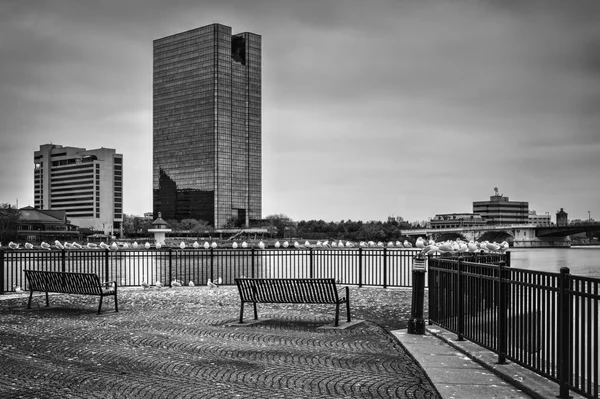 Ciudad Skyline —  Fotos de Stock