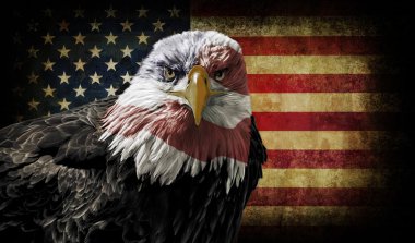 Amerikan kel kartal Grunge bayrağı