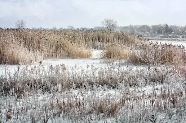 Winter Wonderland — Stockfoto