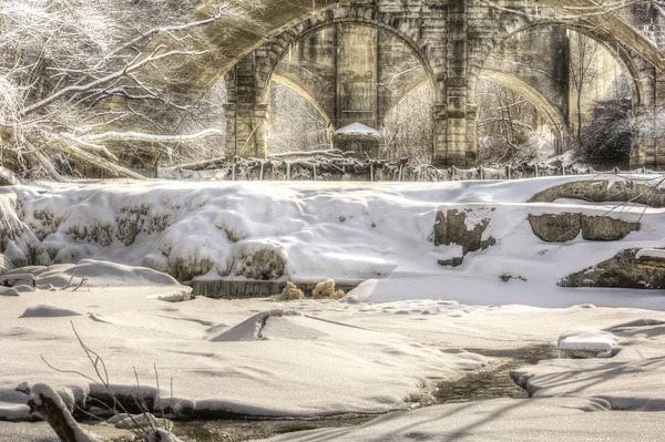 겨울에 아름 다운 버 리아 폭포 — 스톡 사진