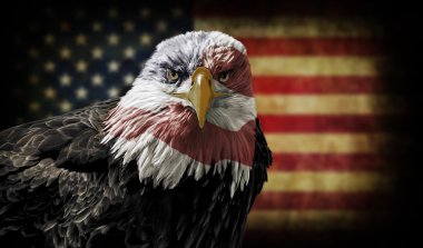 Amerikan kel kartal Grunge bayrağı