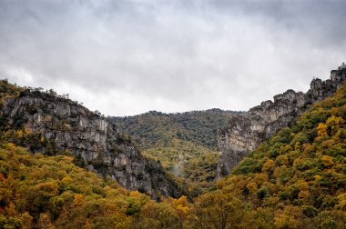 Sonbaharda Appalaş Dağları