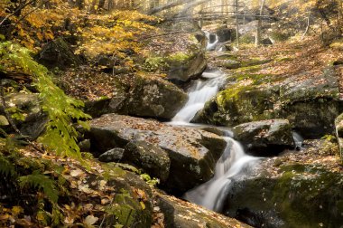 Sonbaharın güzel art arda sıralı