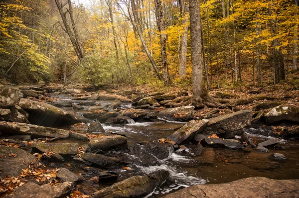 Beautiful Streaml In Autumn — Stock Photo, Image