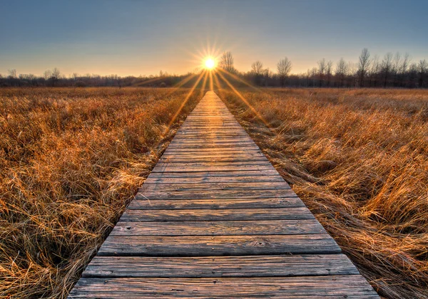Prairie Boardwalk zonsondergang — Stockfoto