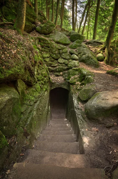 Hiking Trail Tunnel — Stock Photo, Image