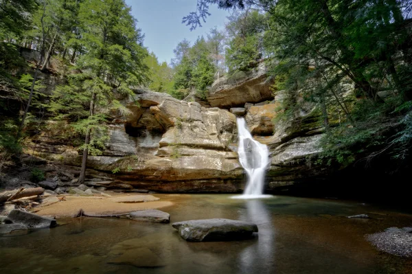 Cedro cai ohio — Fotografia de Stock