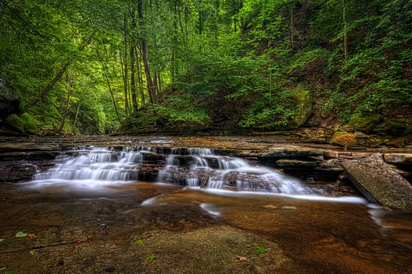 Brandywine Creek falder - Stock-foto