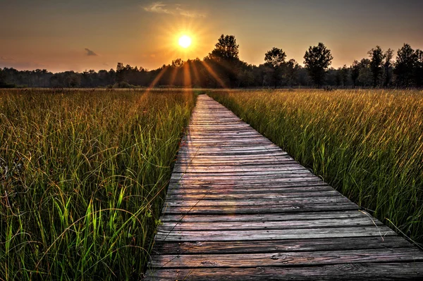 Prairie Boardwalk zonsondergang — Stockfoto