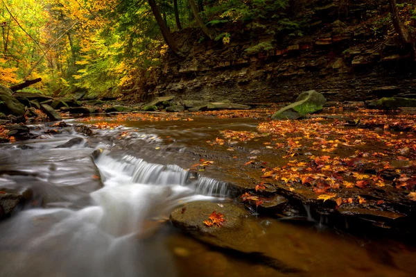 Cachoeira de outono pacífica — Fotografia de Stock