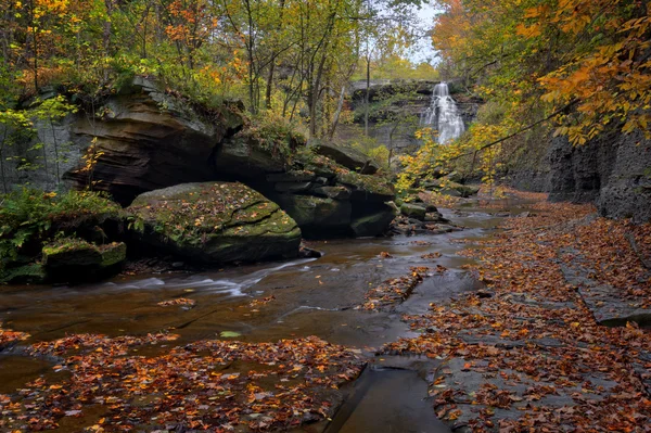 Brandywine Falls i höst — Stockfoto