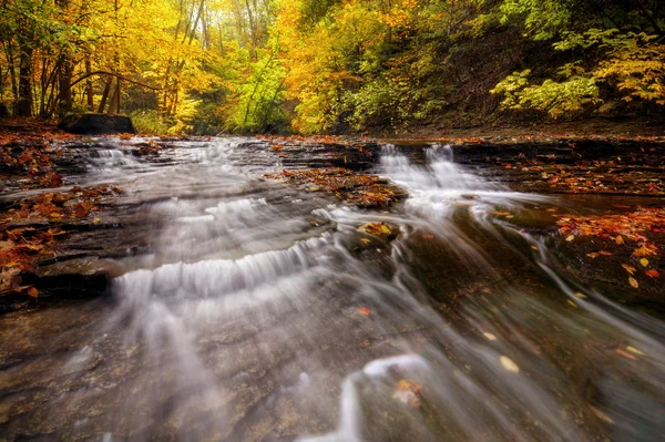 Autumn Waterfall Scene — Stock Photo, Image