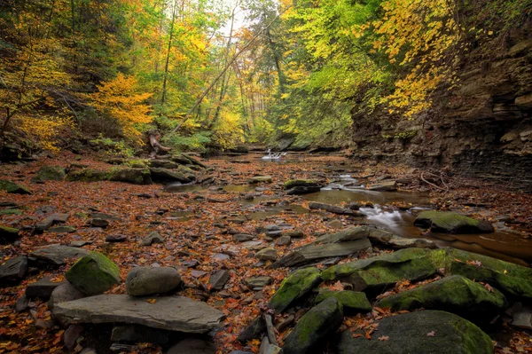 Escena de cascada de otoño — Foto de Stock