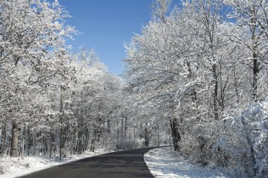 Karlı kış yol sahne