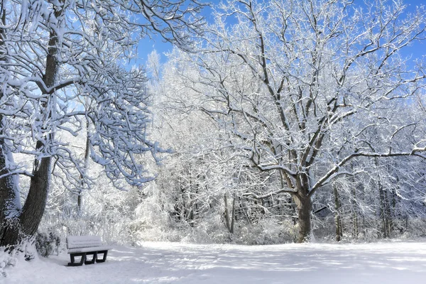 Cena de inverno nevado — Fotografia de Stock