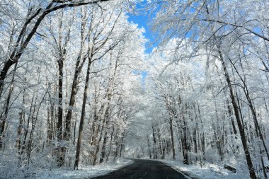 Karlı kış yol sahne
