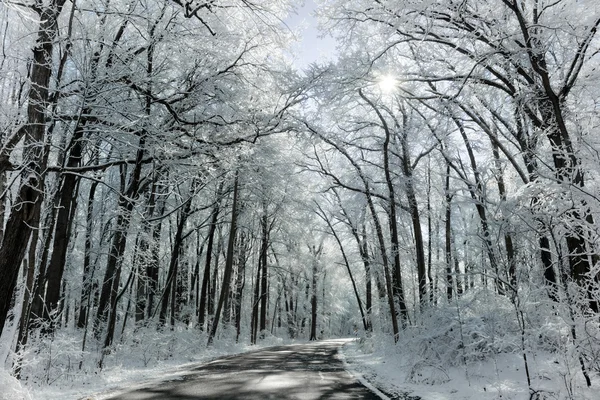 雪の降る冬道路シーン — ストック写真